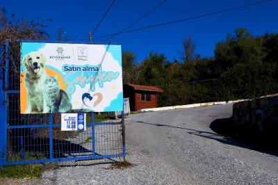 KUŞADASI BELEDİYESİ CAN DOSTLARA UMUT OLMAYA DEVAM EDİYOR