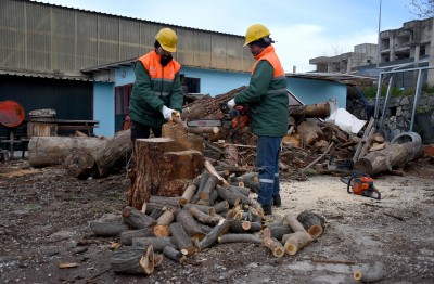 KUŞADASI’NDA AĞAÇ ATIKLARI İHTİYAÇ SAHİPLERİ İÇİN KARA KIŞTA YAKACAĞA DÖNÜŞÜYOR