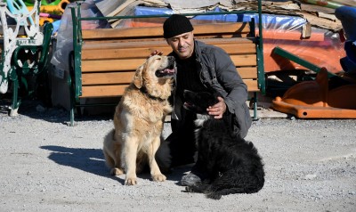 FELÇLİ KÖPEK ‘KARAM’ İLGİ VE SEVGİYLE YENİDEN YÜRÜMEYE BAŞLADI FELÇLİ KÖPEK ‘KARAM’I SEVGİ VE ŞEFKAT İYİLEŞTİRDİ