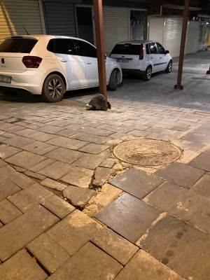KUŞADASI BELEDİYESİ KAMU MALINA ZARAR VERENLERİN CEZA ALMASI İÇİN HAREKETE GEÇTİ