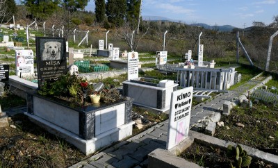 KAHRAMAN KÖPEK PROTEO’NUN İSMİ KUŞADASI’NDA ÖLÜMSÜZLEŞECEK