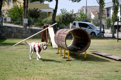 KUŞADASI BELEDİYESİ’NDEN CAN DOSTLARIN PARK ALANINDA BAKIM ÇALIŞMASI