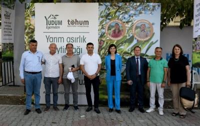 KUŞADASI'S INSANE OLIVE TREES ARE BENEFITED TO THE ECONOMY