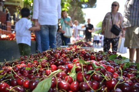 Kiraz Festivali