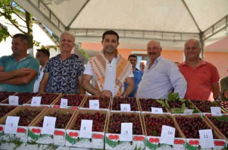 Kiraz Festivali