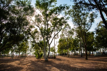 Ada Camping
