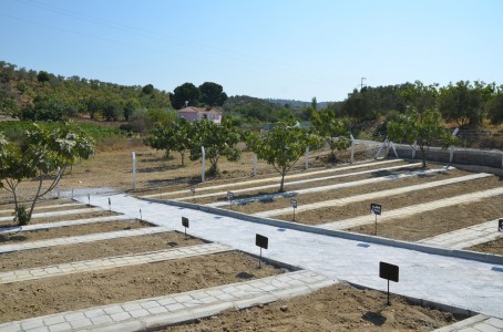 Can Dostlar Defin Alanı