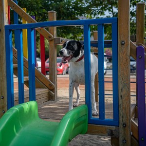 Adagöl Piknik Alanı