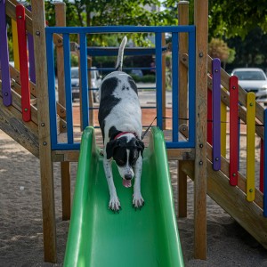 Adagöl Piknik Alanı