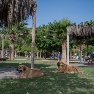 Adagöl Piknik Alanı