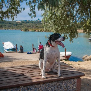 Adagöl Piknik Alanı