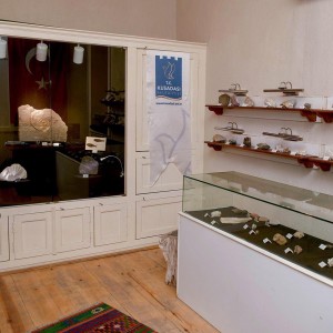Mineral and Fossil Museum