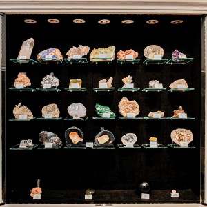 Mineral and Fossil Museum
