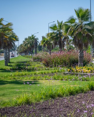 ÇEVREYOLU ORTA REFÜJ DÜZENLEMESİ