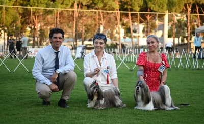 DURUŞLARI, YÜRÜYÜŞLERİ VE SÜSLERİYLE GÖRENLERİ KENDİLERİNE HAYRAN BIRAKTILAR