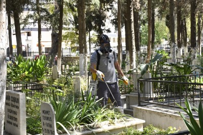ASYA KAPLAN SİVRİSİNEĞİNE KARŞI MEZARLIKLARDA ETKİLİ MÜCADELE