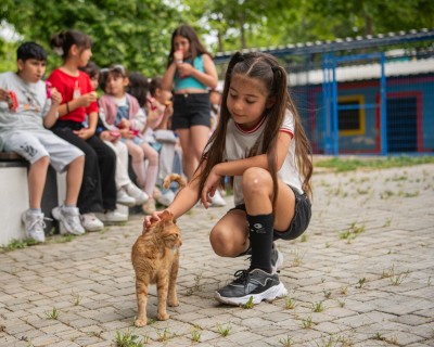 KUŞADASI’NDA 195 CAN DOST YENİ YUVASINA KAVUŞTU!