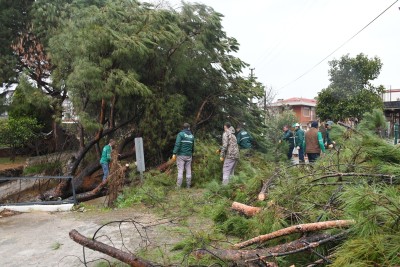 KUŞADASI BELEDİYESİ EKİPLERİ OLASI BİR FACİANIN ÖNÜNE GEÇTİ