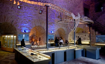 DENİZ TİCARET TARİHİ SERGİ ALANI’NA YILIN İLK ÇEYREĞİNDE YOĞUN İLGİ