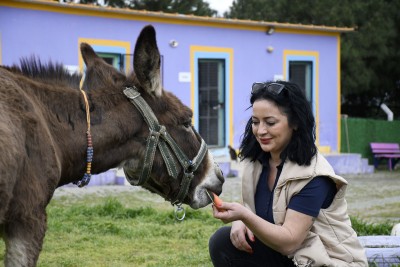 KUŞADASI EVCİL HAYVAN BAKIM VE REHABİLİTASYON MERKEZİNİN MASKOTU ‘FISTIK’