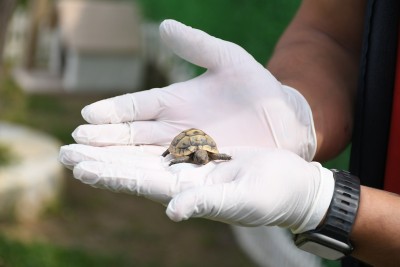 EVCİL HAYVAN BAKIM VE REHABİLASYON MERKEZİ’NİN YENİ SAKİNLERİ İÇİN ÖZEL YAŞAM ALANI