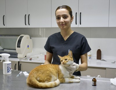 KUŞADASI BELEDİYESİ PATİLİ DOSTLARIN HER ZAMAN YANINDA